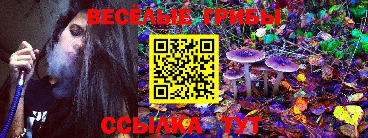 Галлюциногенные грибы ЛСД Воронеж