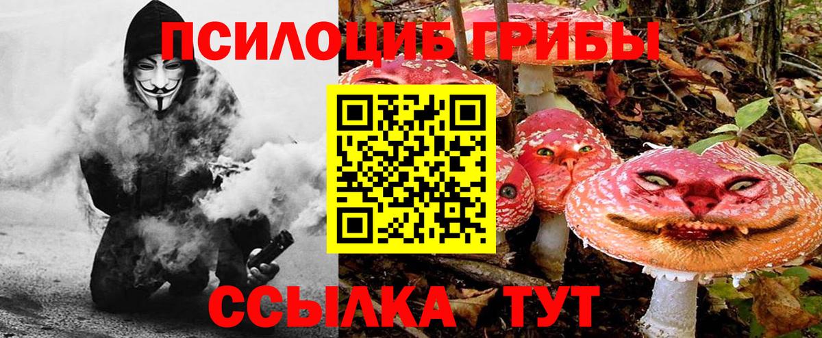 Галлюциногенные грибы прущие грибы  Псилоцибиновые грибы Cubensis  Вход с VPN  Воронеж 